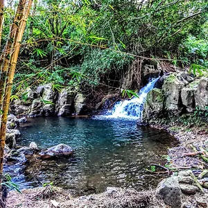 Hamakua 2*, Pepeekeo USA